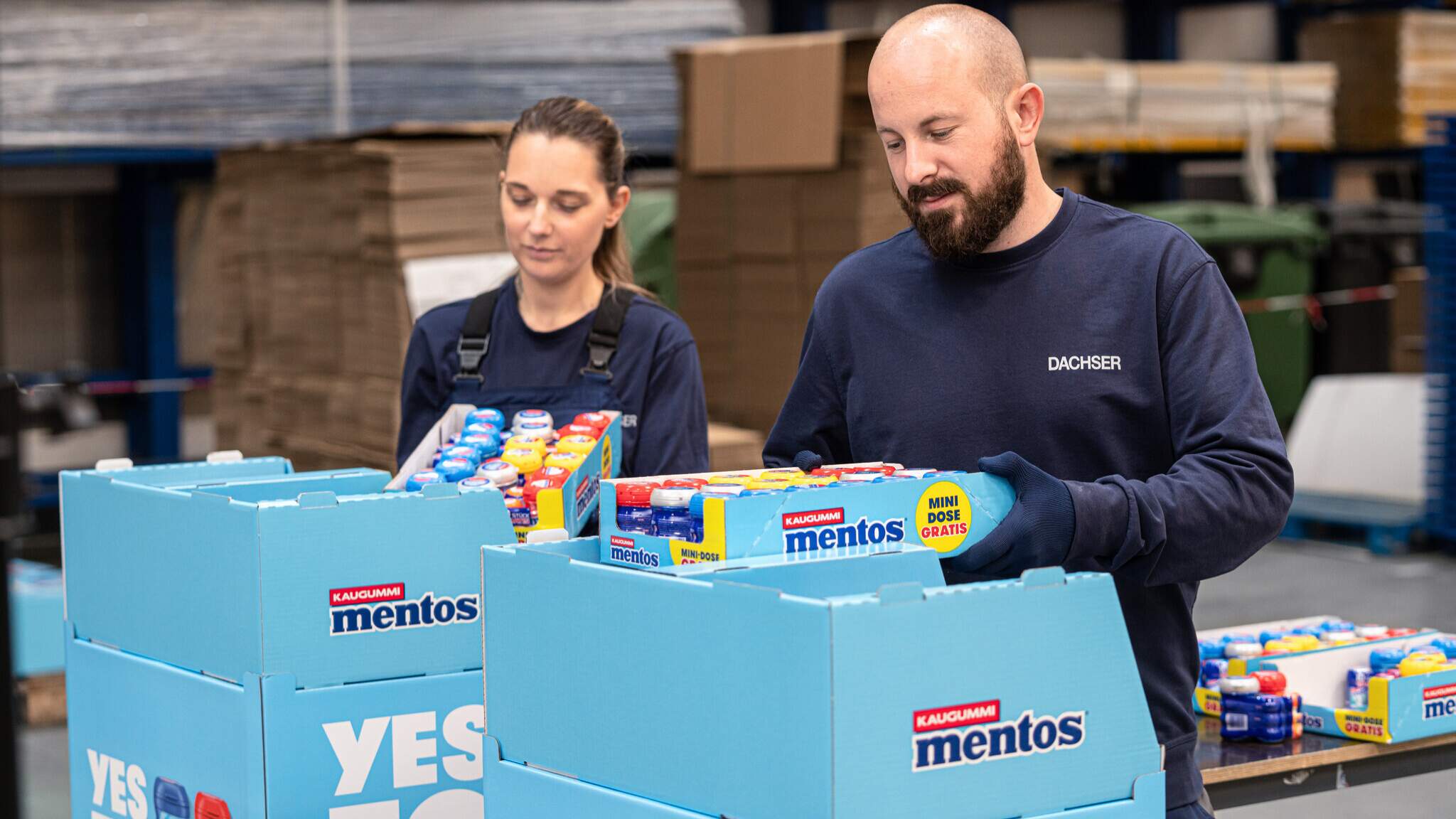 Pr&ecirc;t pour la vente : les collaborateurs de DACHSER remplissent les pr&eacute;sentoirs avec les paquets de Mentos.