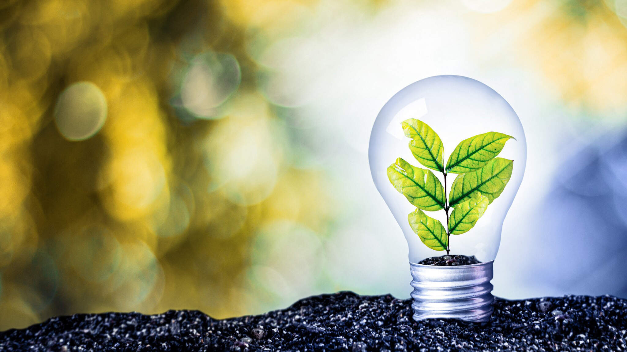 Un avenir durable et digital avec DACHSER Un avenir durable et digital avec DACHSER